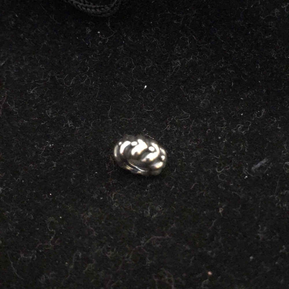 Pandora Sterling Silver Charm